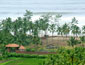 /images/Hotel_image/Kashid/Prakruti Resort/Hotel Level/85x65/View-from-resort,-Prakruti-Resort,-Kashid.jpg